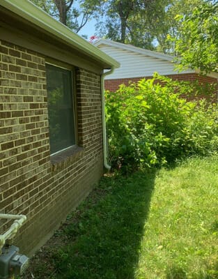 Brick house exterior with green door and lush landscaping in sunny backyard