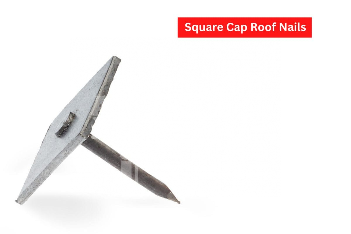 Roof Nails Square cap roof nails