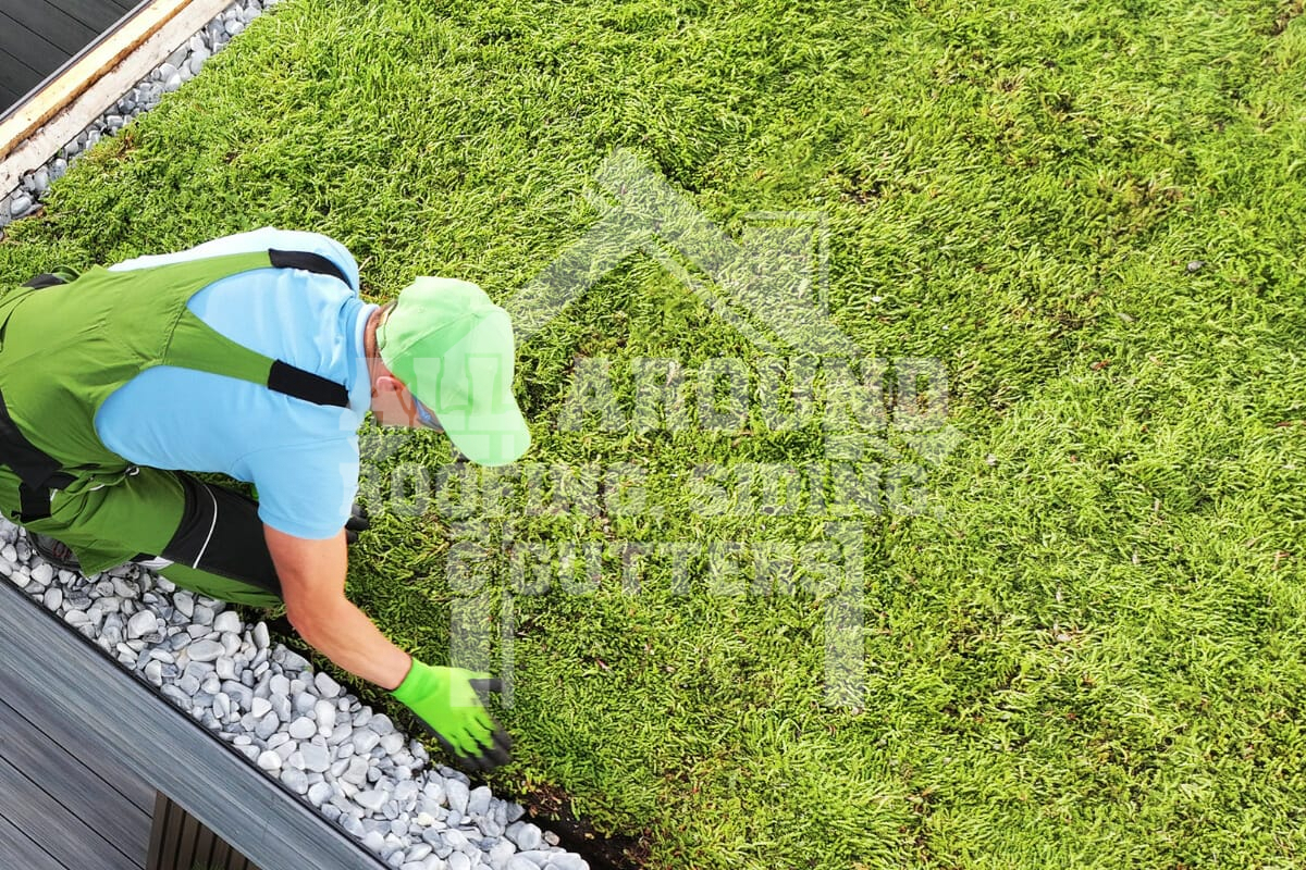 Commercial Roofing Trends Types green roof systems