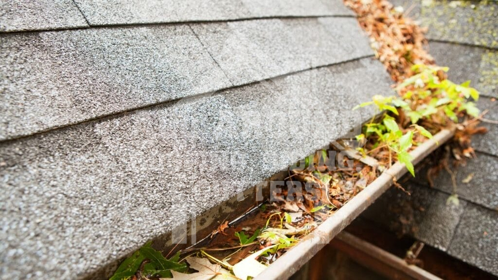 Gutter Maintenance Clogged gutters