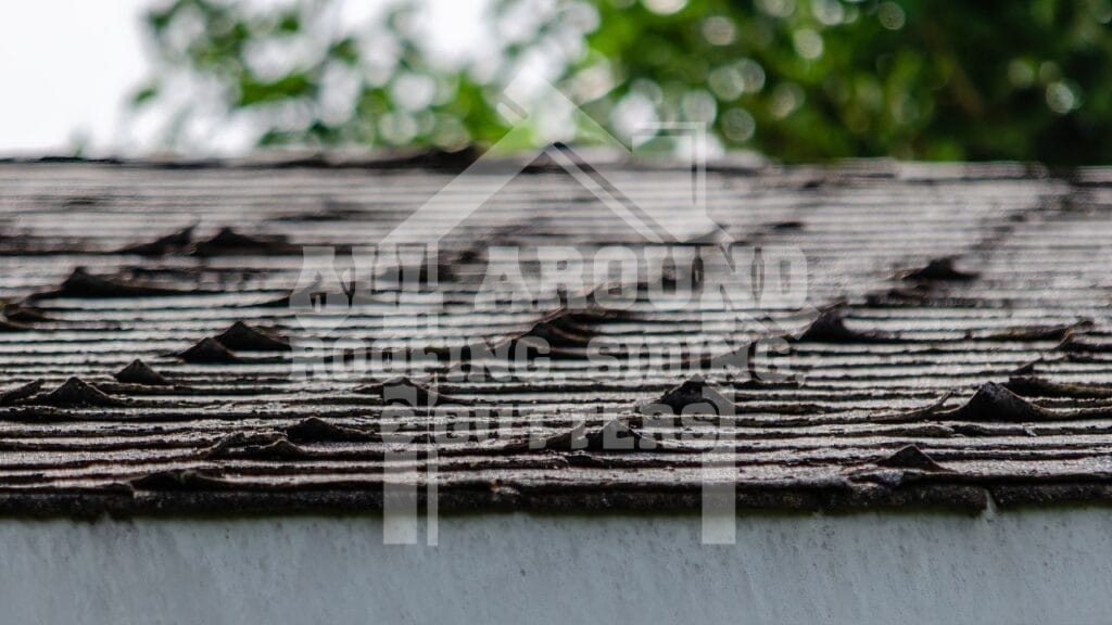 Shingle Roof Repair Curled shingles