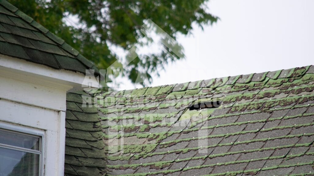 Shingle Roof Repair Dirty, or wet shingles