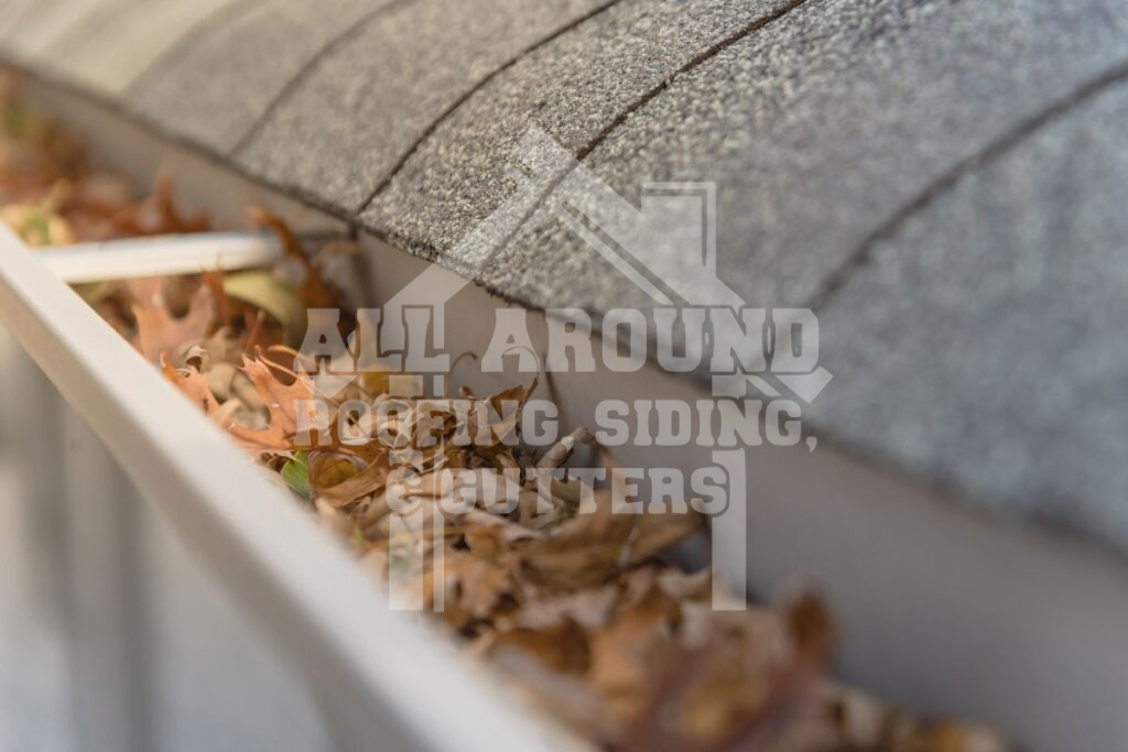 Roof Rot Debris in gutters