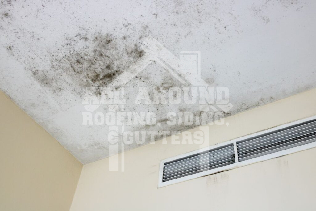 Roof Rot Mold and mildew