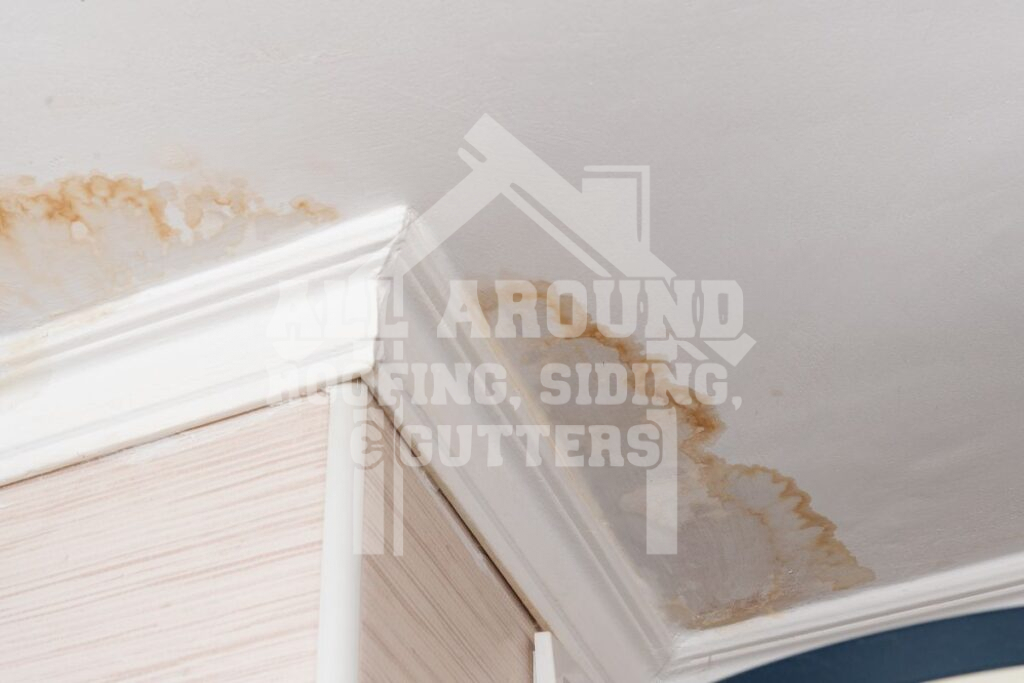 Roof Rot Water spots on ceiling
