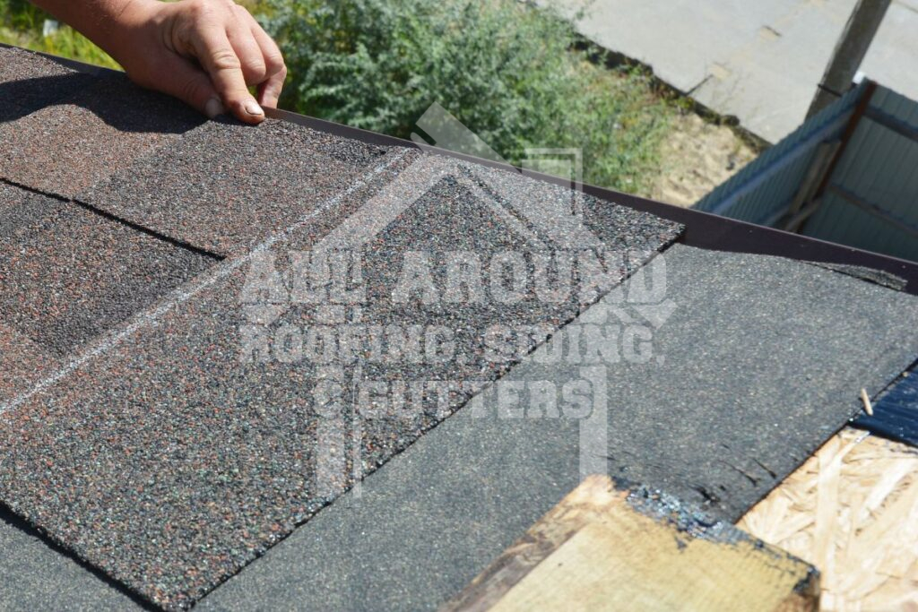 Top Tips For Pet Owners During A Roof Replacement Project Roof replacement