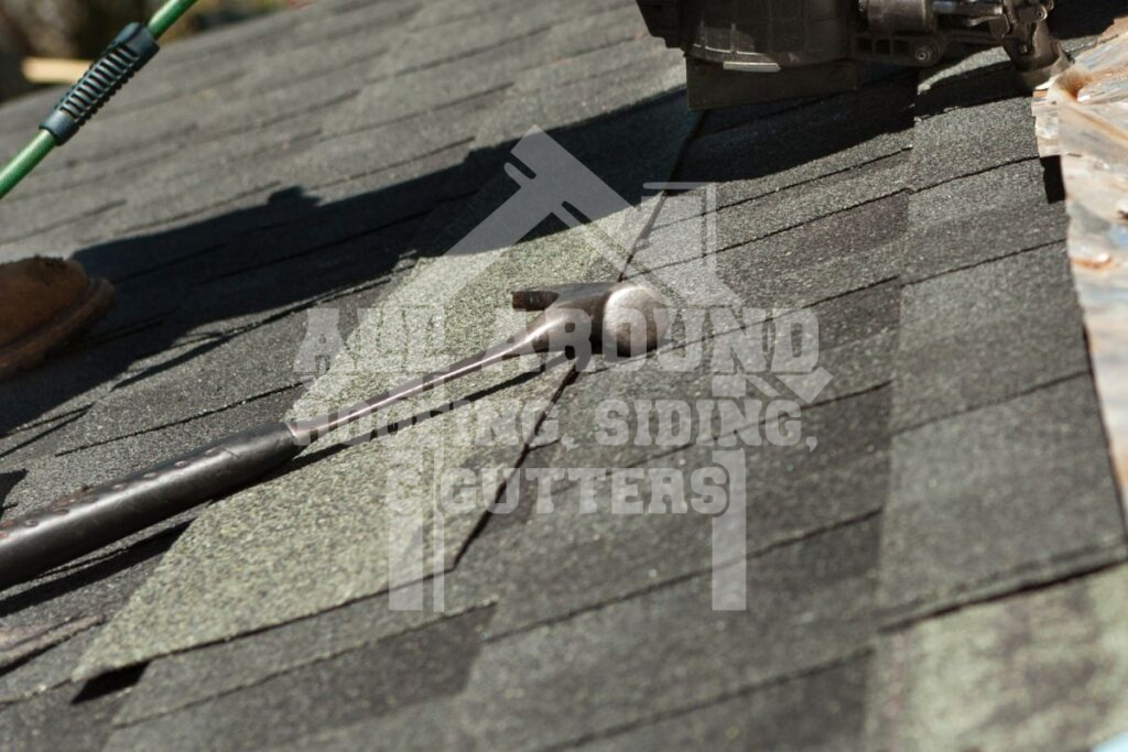 Top Tips For Pet Owners During A Roof Replacement Project Roof replacement