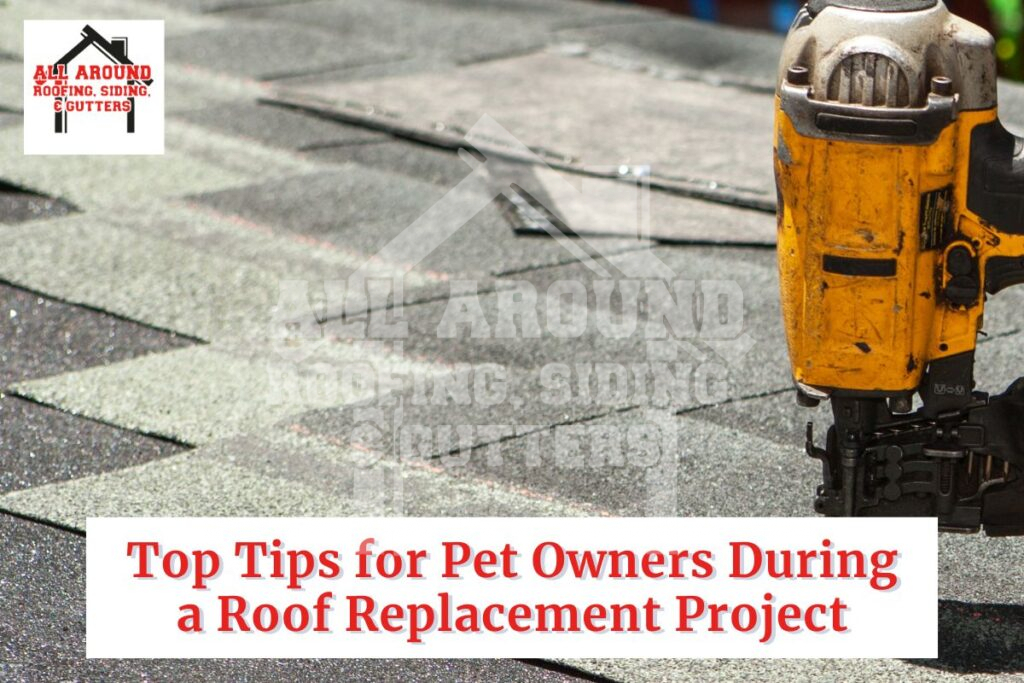 Top Tips for Pet Owners During a Roof Replacement Project