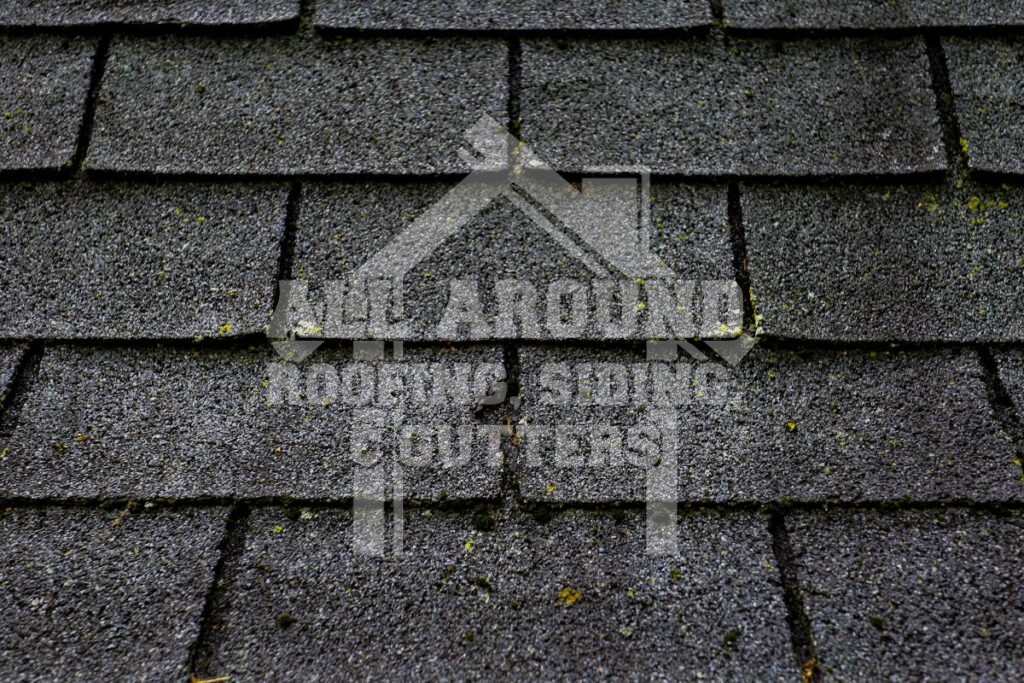 Shingle Damage From Hot Roof Shingle blisters