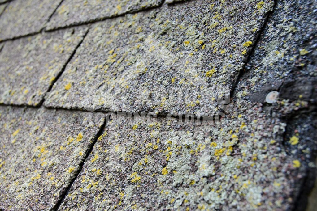 What Causes Dark Spots On Roof Shingles Algae on roof