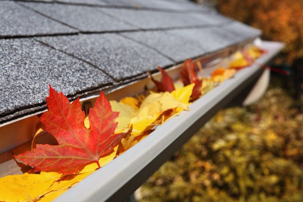 Do Gutters Cause Ice Dams Clogged gutters