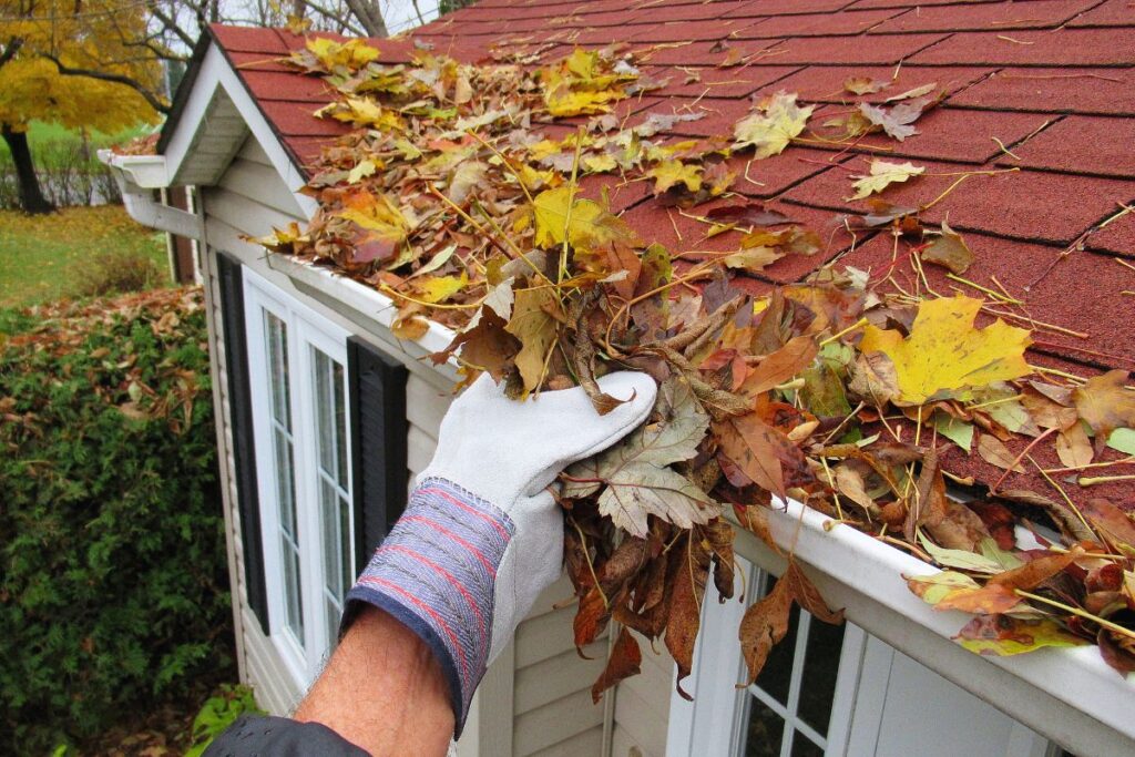 Roof Maintenance Gutters clean
