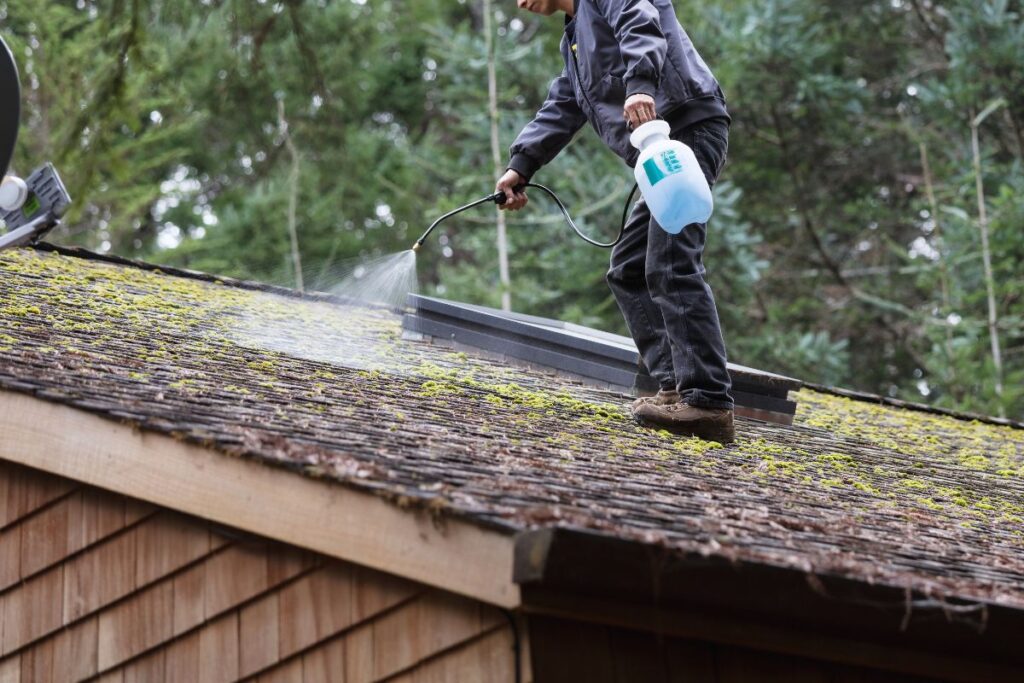 Roof Maintenance Remove moss and algae