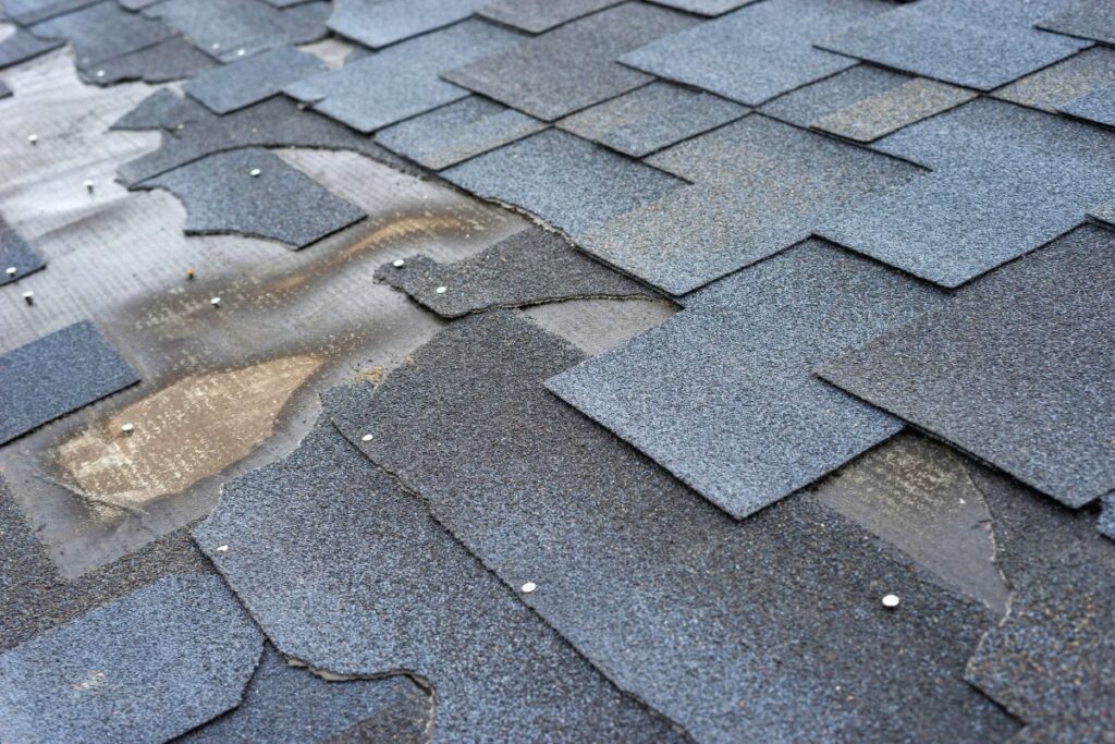 Cost To Reroof A House Shingle damage